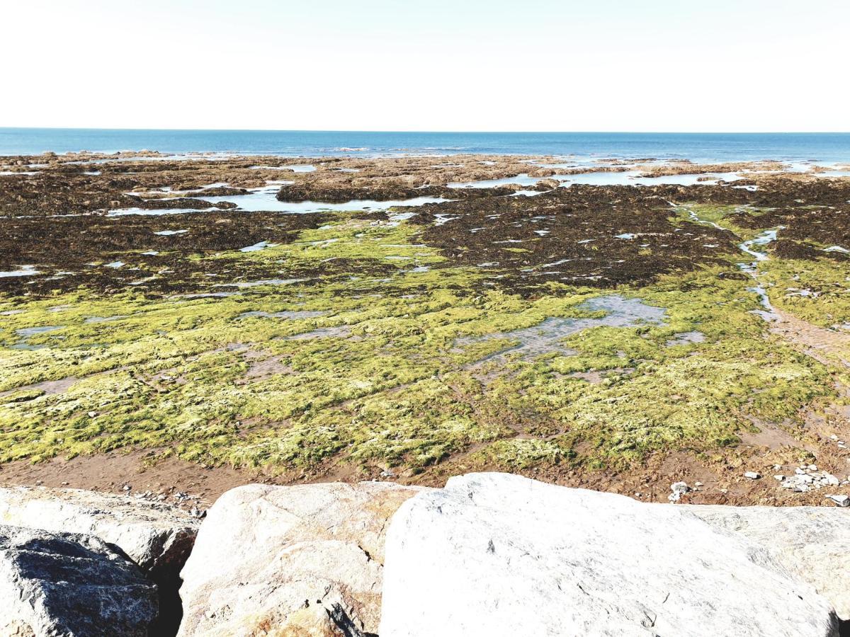 Le Temps D'Une Pause Bretignolles-sur-Mer Bagian luar foto